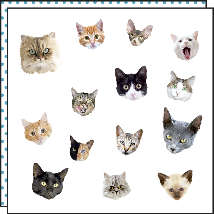 Cat Parade Tattoo (2 Stück)