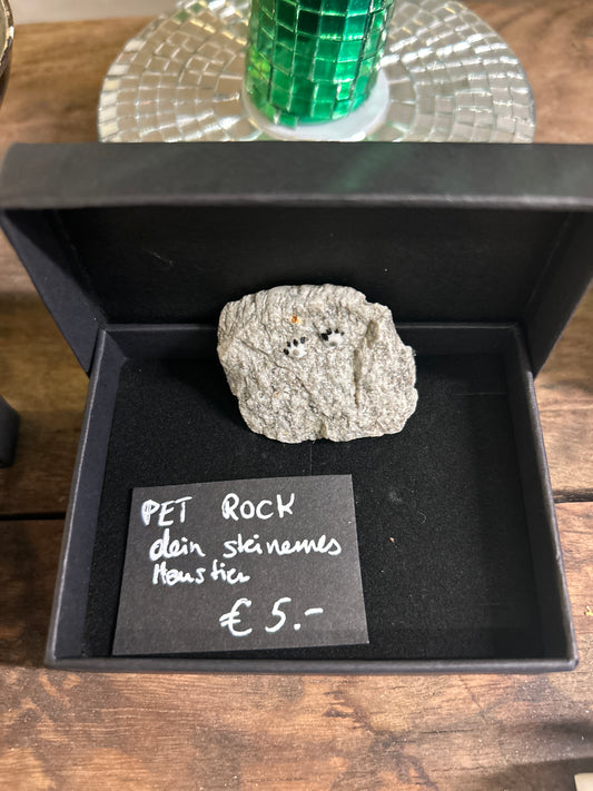 Pet Rock - dein steinernes Haustier