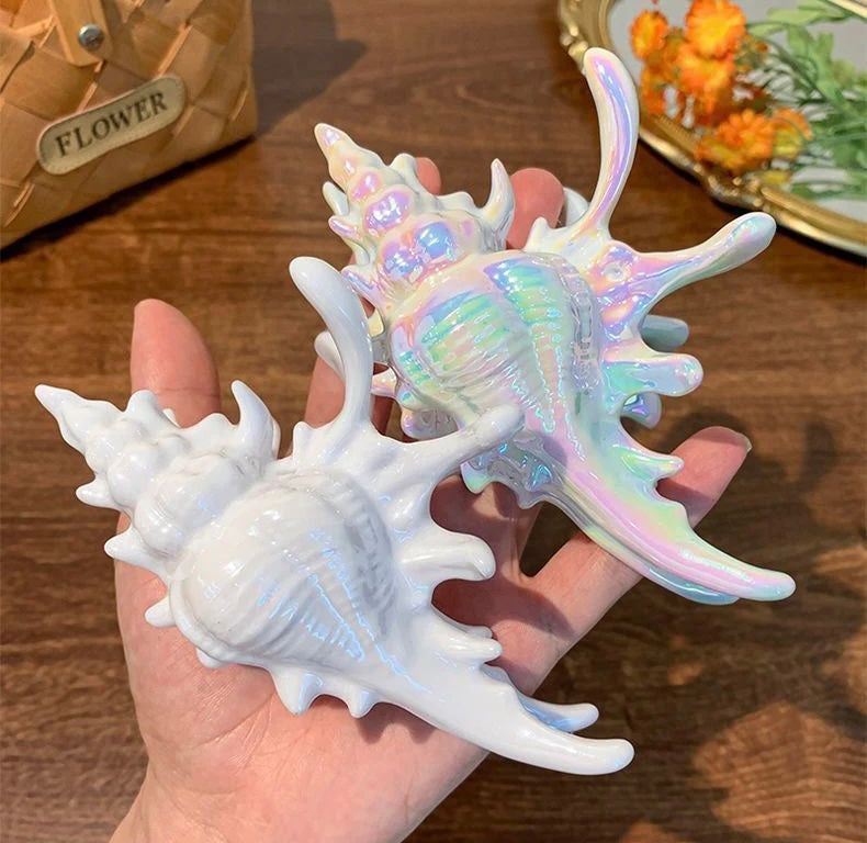 Große Perlmutt Muschel Haarklammer aus Plastik