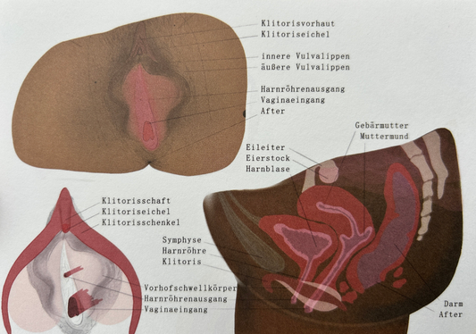 Postkarte von Klara Eröd-Danzinger – "Du bist ein Wunder"